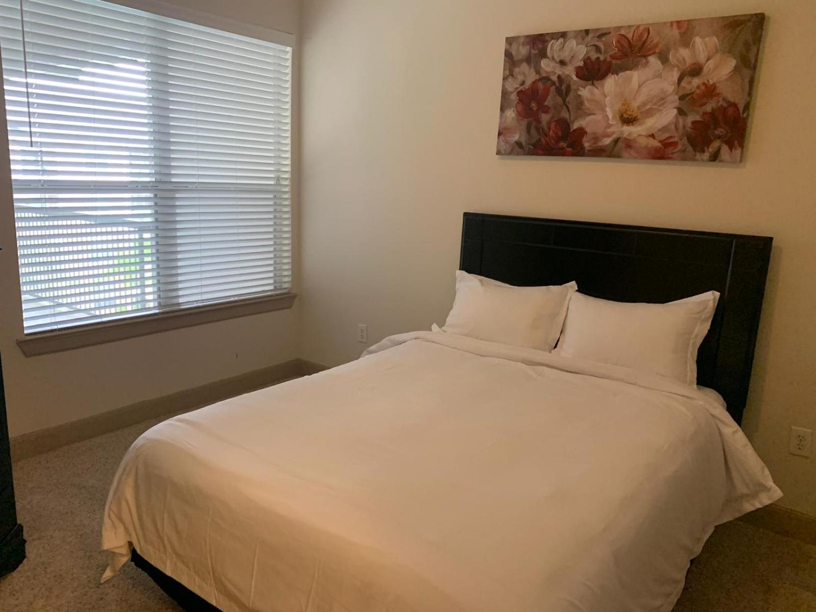 Gorgeous Furnished Apartments Near Texas Medical Center & Nrg Stadium Houston Bilik gambar
