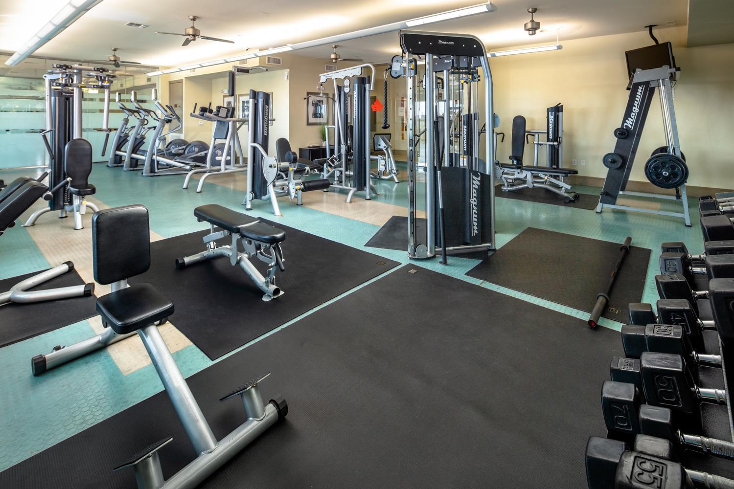 Gorgeous Furnished Apartments Near Texas Medical Center & Nrg Stadium Houston Luaran gambar