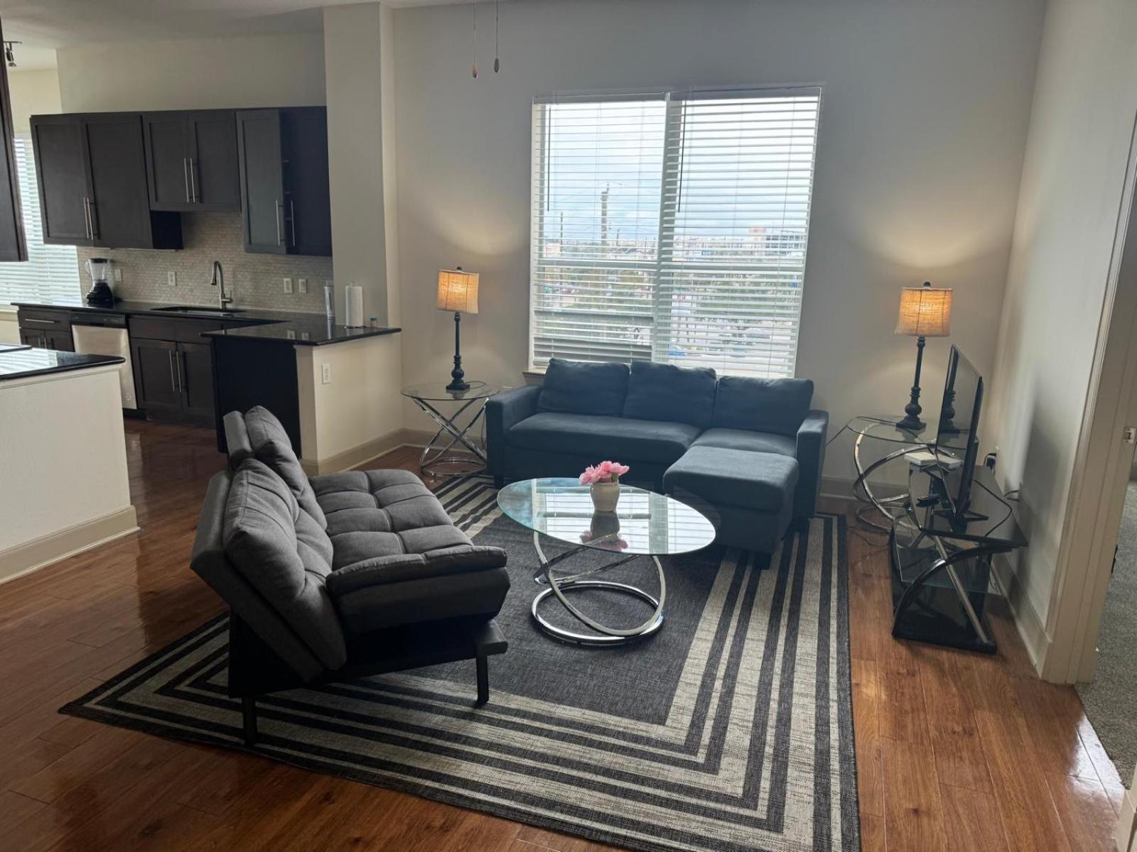 Gorgeous Furnished Apartments Near Texas Medical Center & Nrg Stadium Houston Bilik gambar