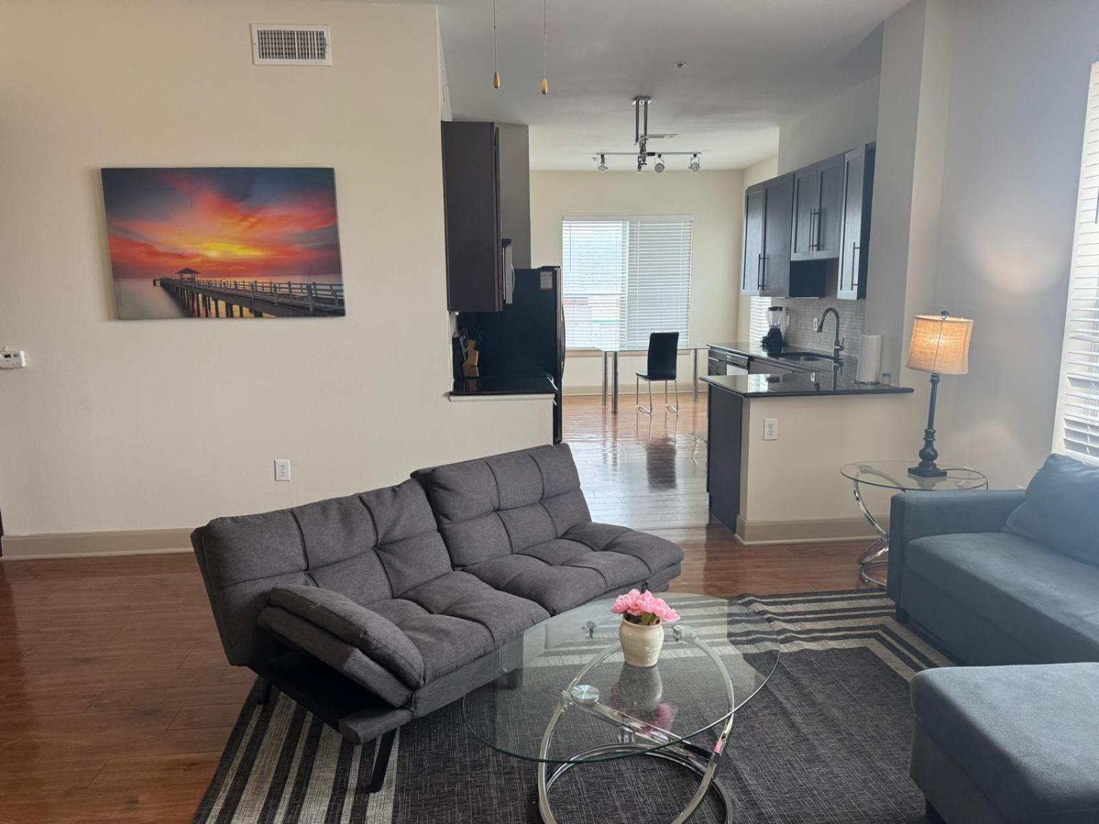 Gorgeous Furnished Apartments Near Texas Medical Center & Nrg Stadium Houston Bilik gambar